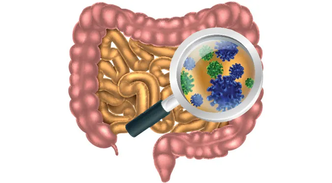 Gut_bacteria_knowexact