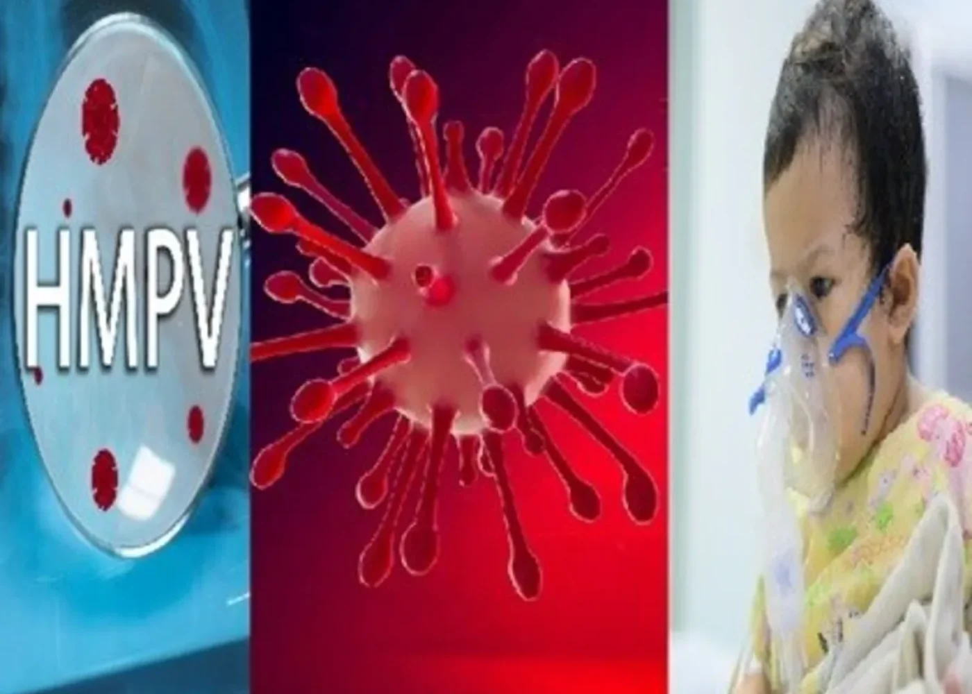 HMPV-Virus-Knowexact-2